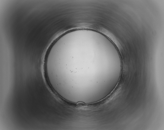 X0000102281093200808081457