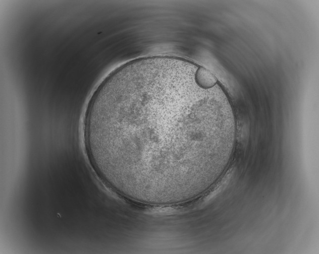 X0000102281094200808081457