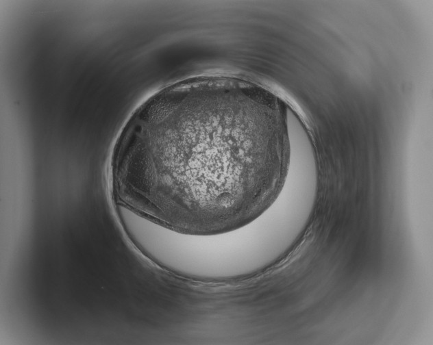 X0000102281095200808081457