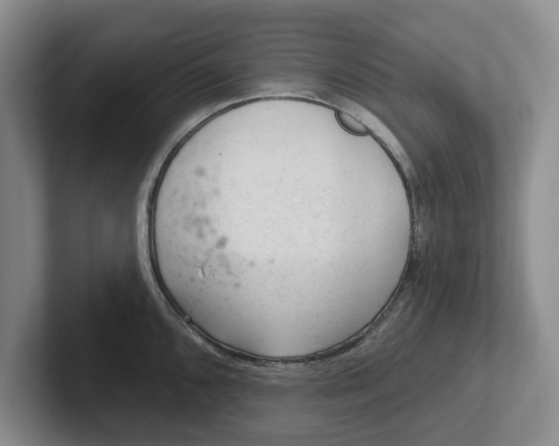 X0000102281096200808081457