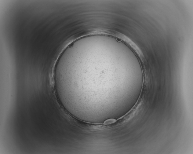 X0000102281097200808081457