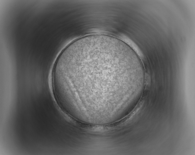 X0000102281098200808081457