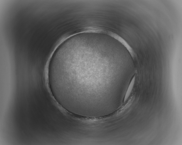 X0000102281099200808081457