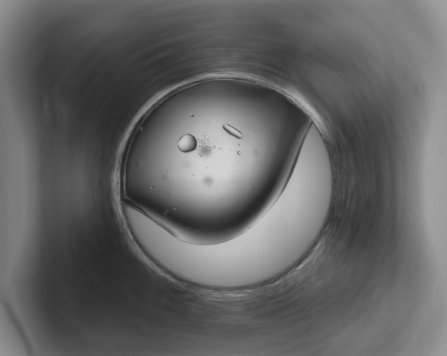 X0000102281100200808081457