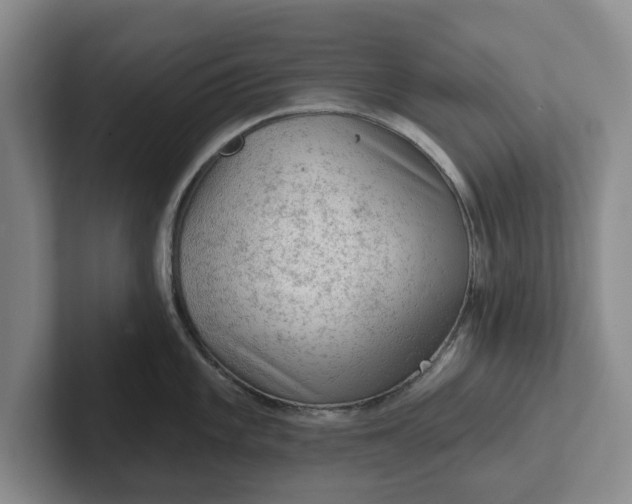 X0000102281101200808081457