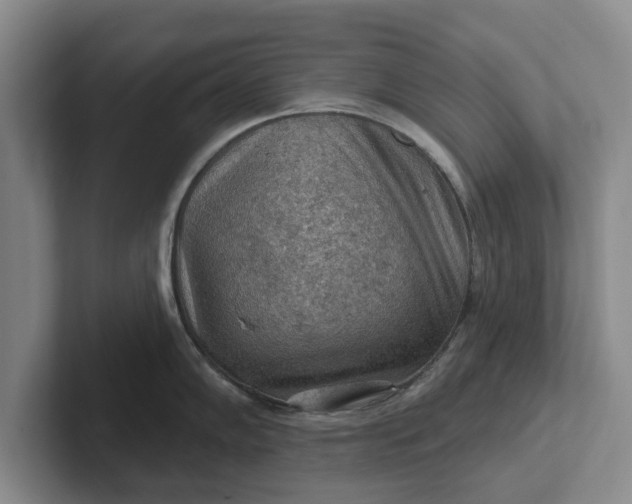 X0000102281102200808081457