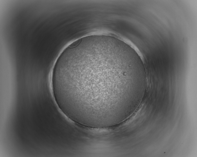 X0000102281103200808081457