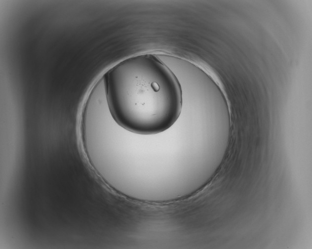 X0000102281104200808081457