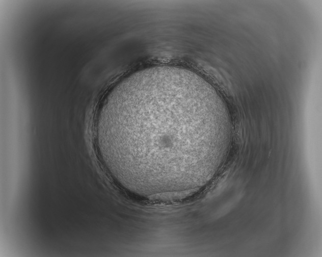 X0000102281105200808081456