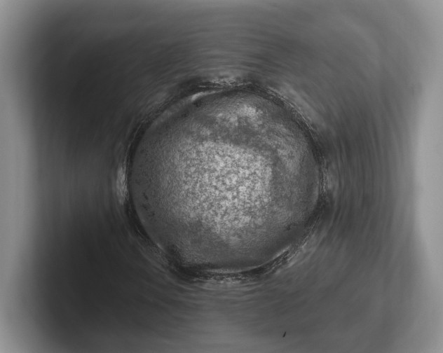 X0000102281106200808081456