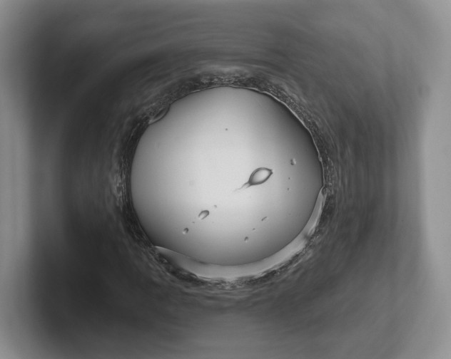 X0000102281109200808081456