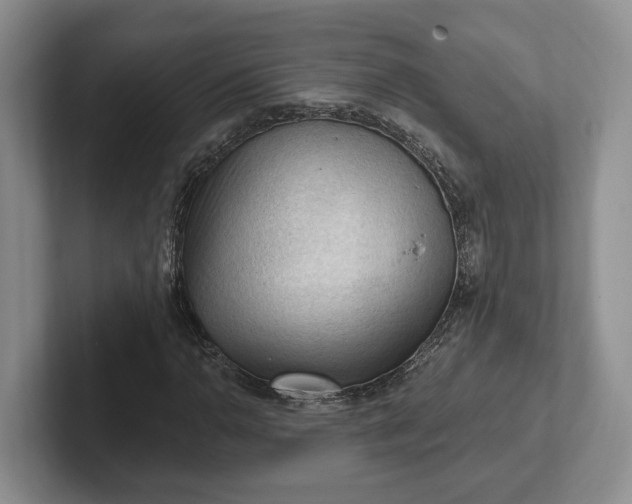 X0000102281110200808081456