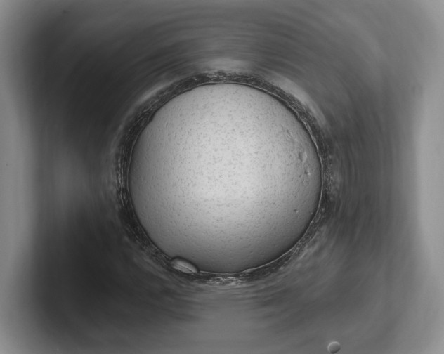 X0000102281112200808081456