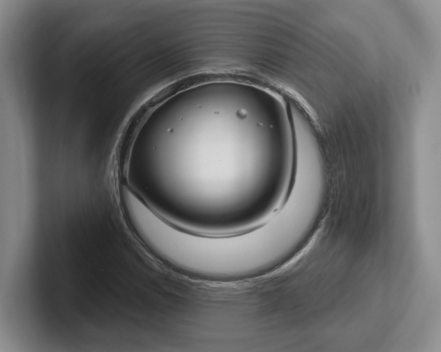 X0000102281114200808081456