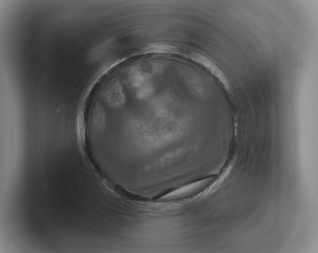 X0000102281117200808081456