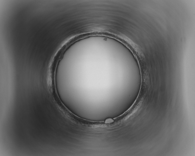 X0000102281118200808081456