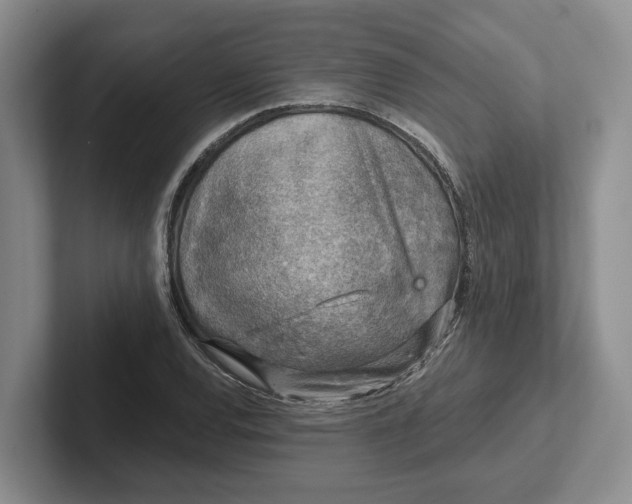 X0000102281120200808081456