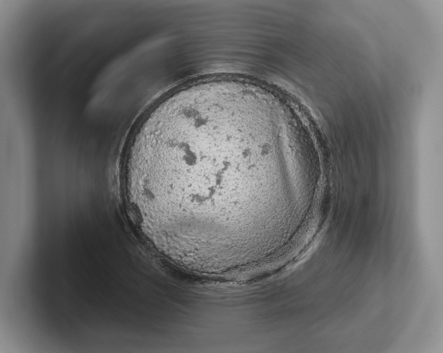 X0000102281121200808081456