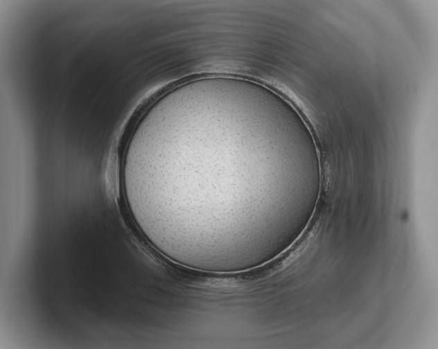 X0000102281123200808081456