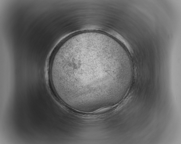 X0000102281124200808081456