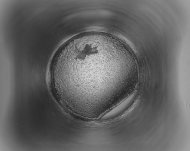 X0000102281125200808081457