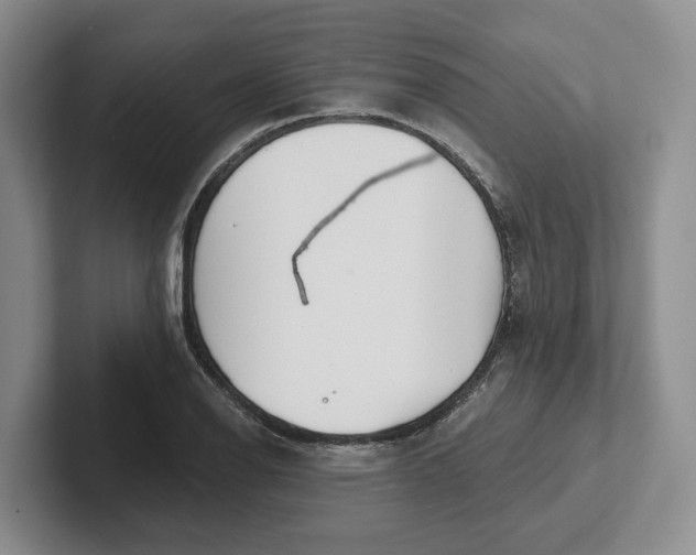 X0000102281126200808081457