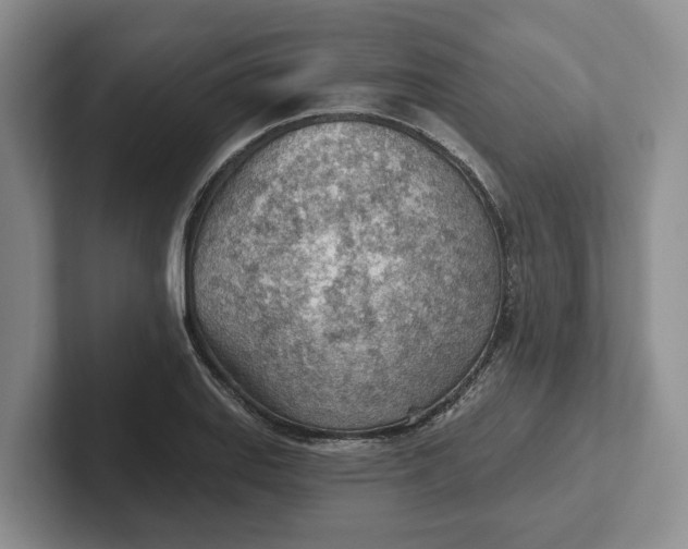 X0000102281127200808081457