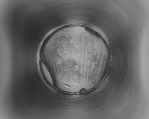 X0000102281128200808081457