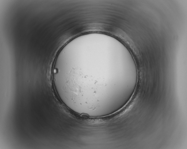 X0000102281129200808081457