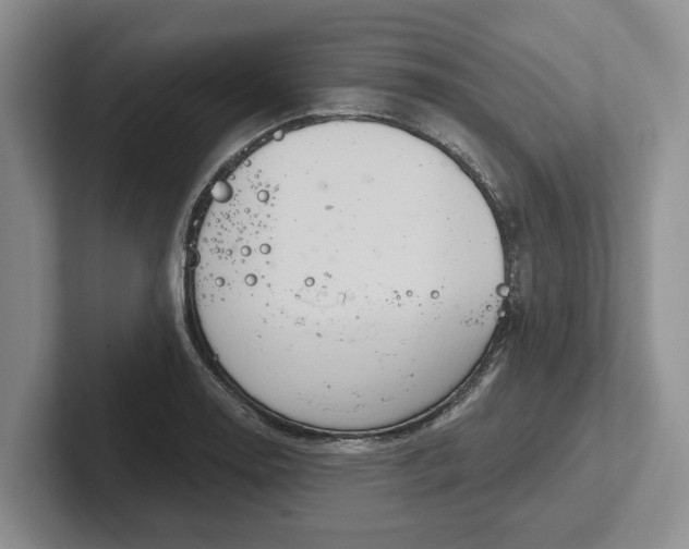 X0000102281130200808081457