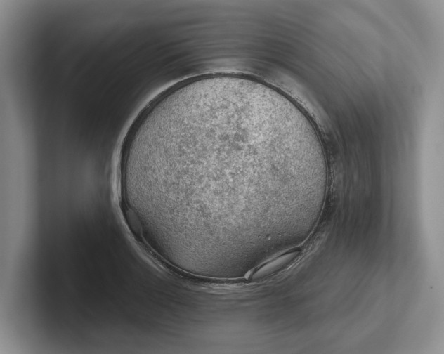 X0000102281132200808081457