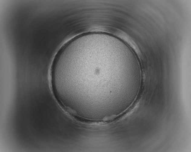 X0000102281133200808081457