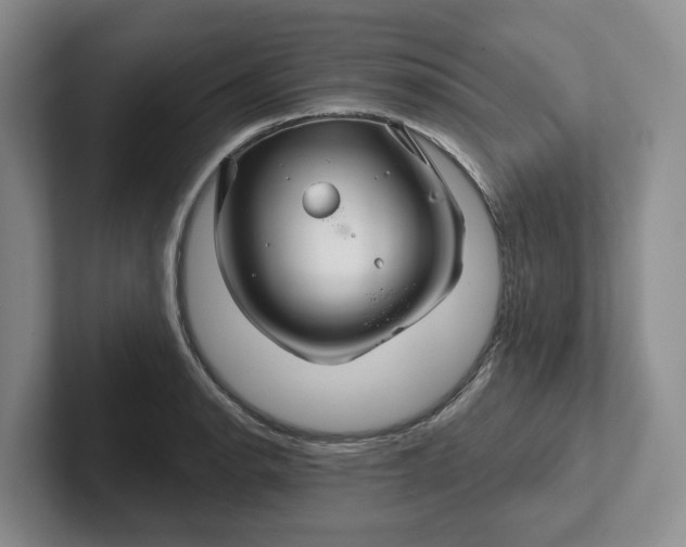 X0000102281134200808081457