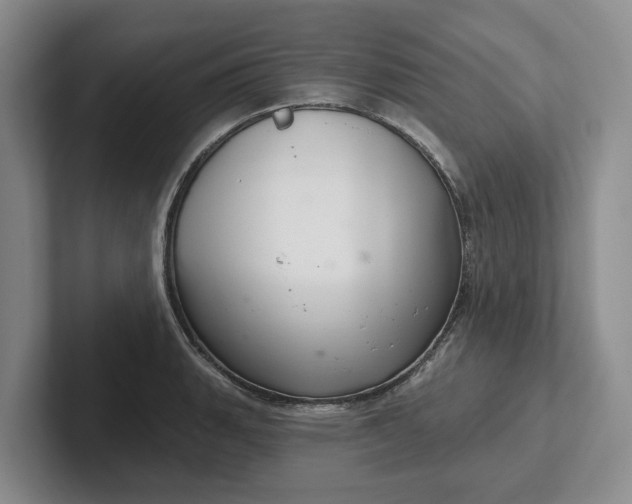 X0000102281135200808081457