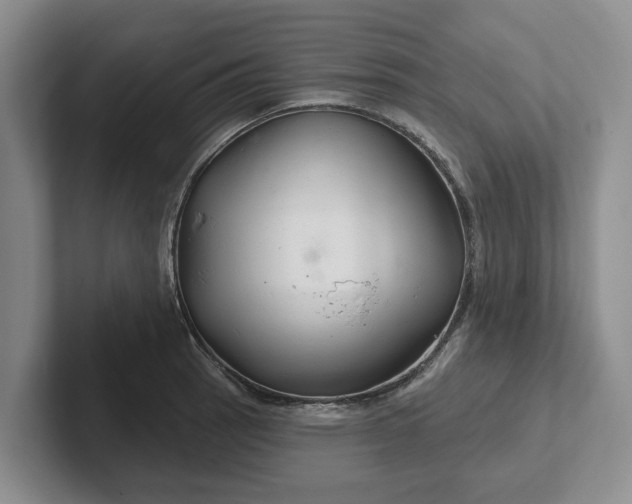 X0000102281137200808081457