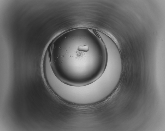 X0000102281138200808081457