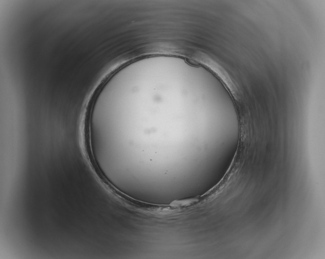 X0000102281139200808081457