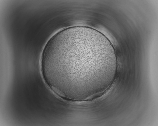 X0000102281142200808081457