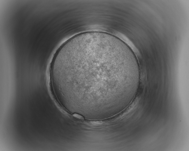 X0000102281144200808081457