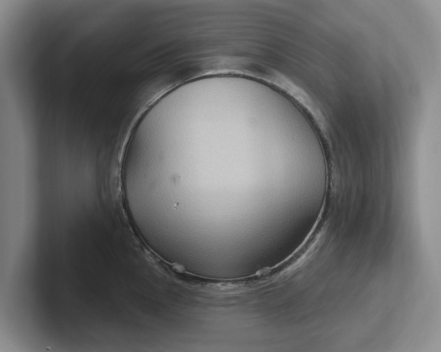 X0000102281145200808081457