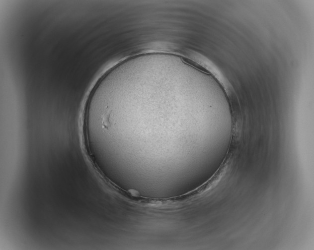 X0000102281146200808081457