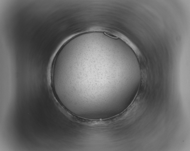 X0000102281148200808081457