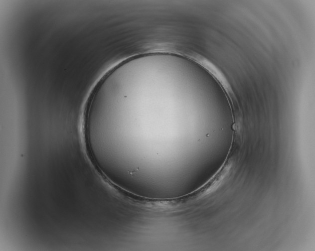 X0000102281149200808081457