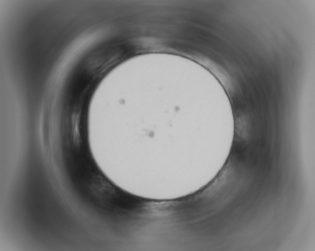 X0000102281150200808081457