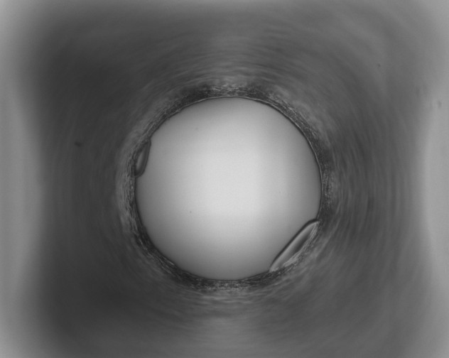 X0000102281153200808081456