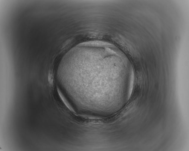 X0000102281154200808081456