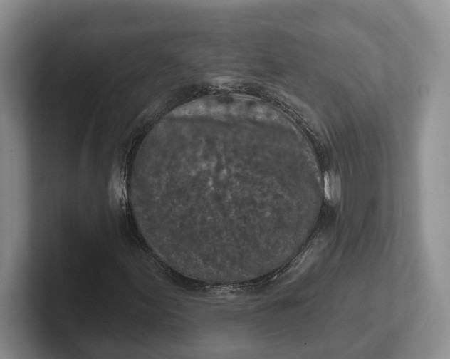 X0000102281155200808081456