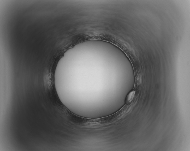 X0000102281156200808081456