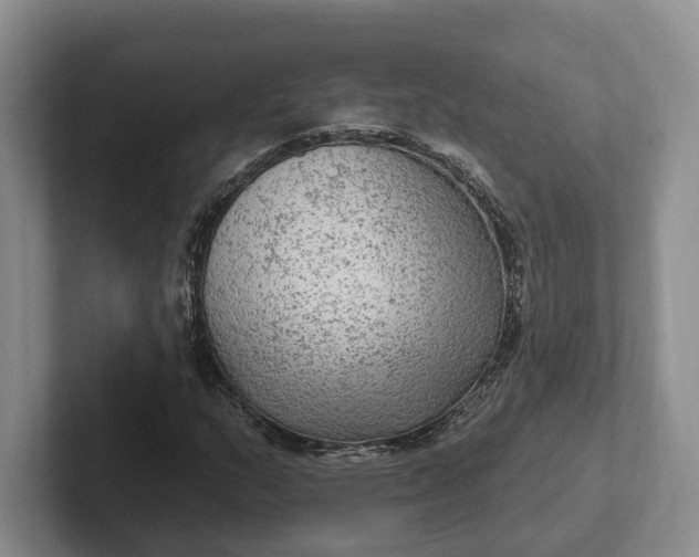 X0000102281159200808081456