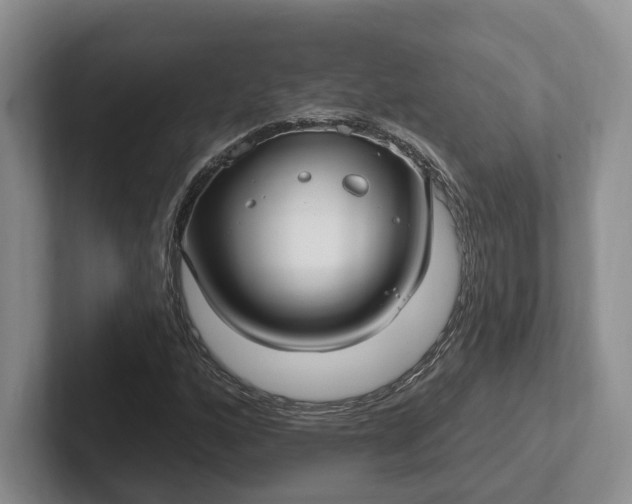 X0000102281160200808081456